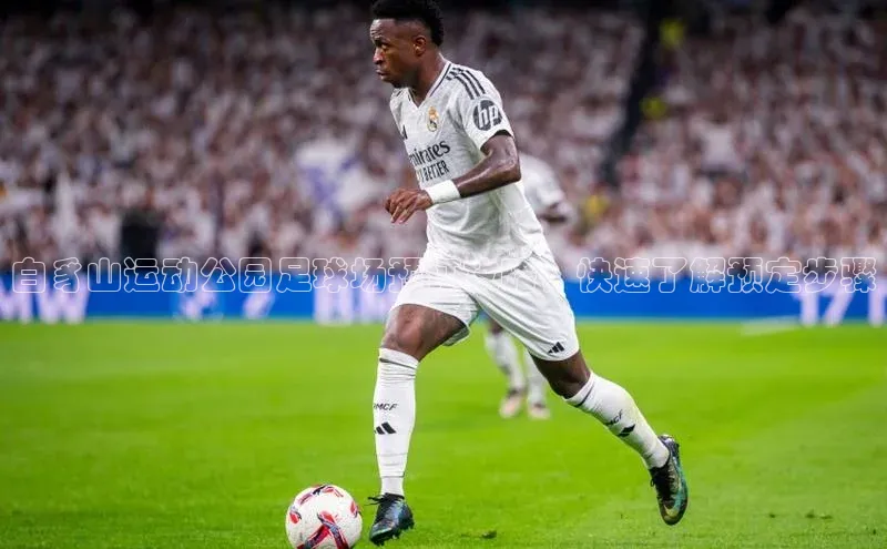 伟德betvlctor体育官网ARGA公司白豸山运动公园足球场预订攻略，快速了解预定步骤