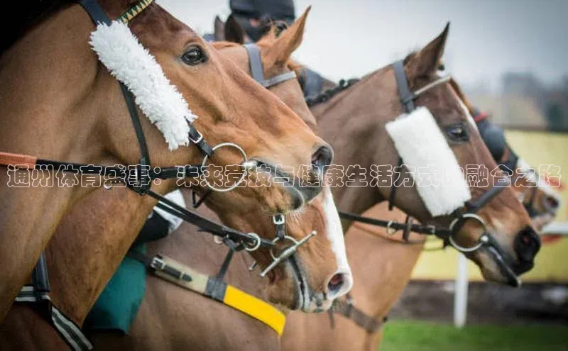 betvlctor网页版登录光魔科技通州体育盛事：未来竞技与健康生活方式的融合之路