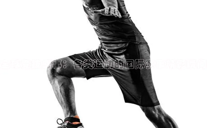 伟德bevictor中文版字节跳动全球竞技盛事：各类运动的国际赛事精彩瞬间