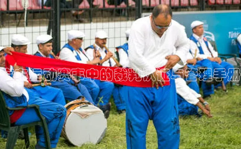 伟德BETVLCTOR网页版歌力思汽车运动赛事中的裁判认证与管理手册