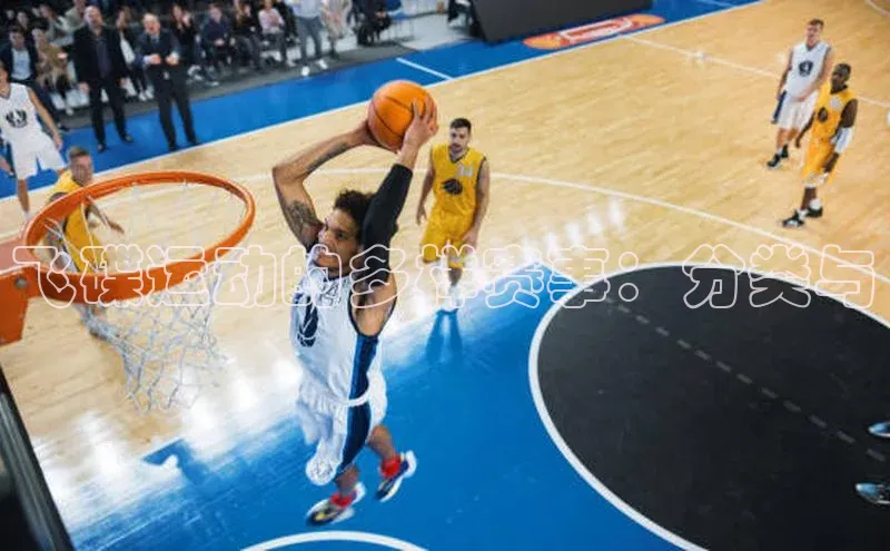 飞碟运动的多样赛事：分类与