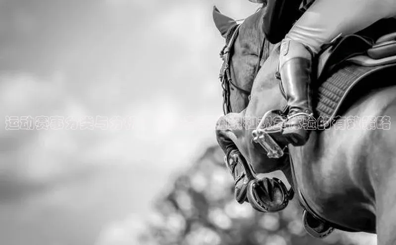 运动赛事分类与分析：提升赛事组织和观赏体验的有效策略