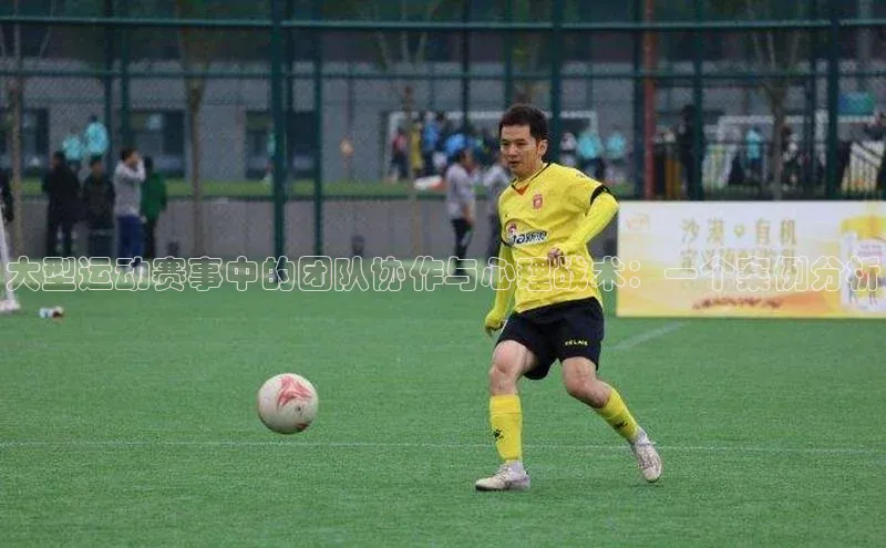 大型运动赛事中的团队协作与心理战术：一个案例分析