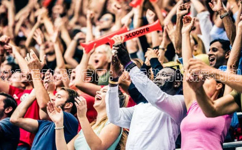 冰壶运动赛事官网：冰雪激情的精彩时刻