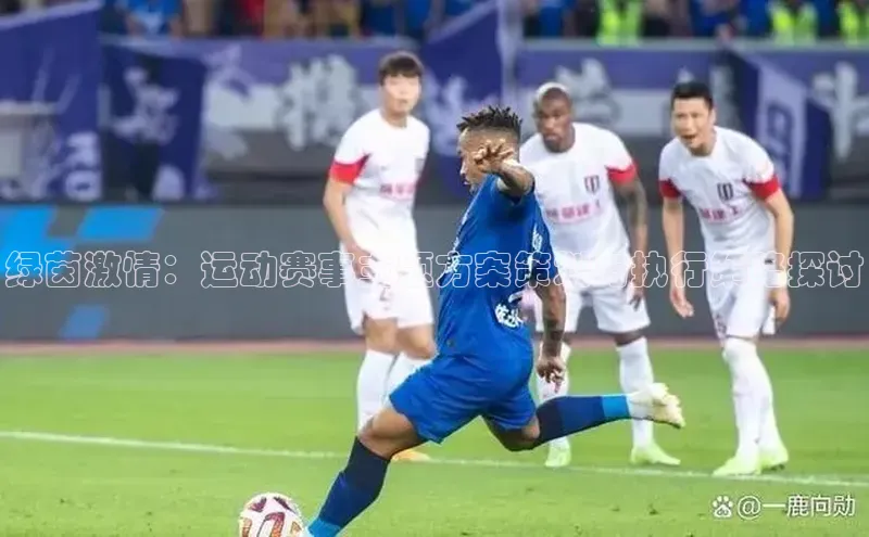 绿茵激情：运动赛事主题方案策划与执行策略探讨