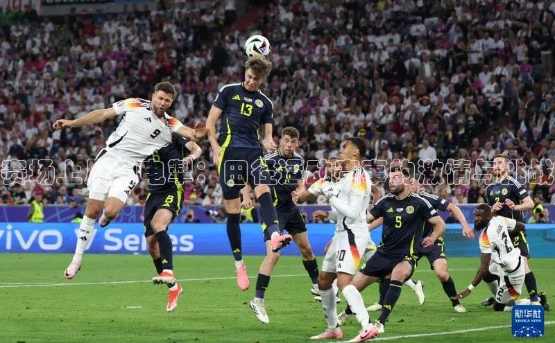 伟德bv国际体育