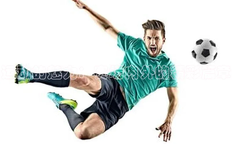 伟德BETVLCTOR网页版