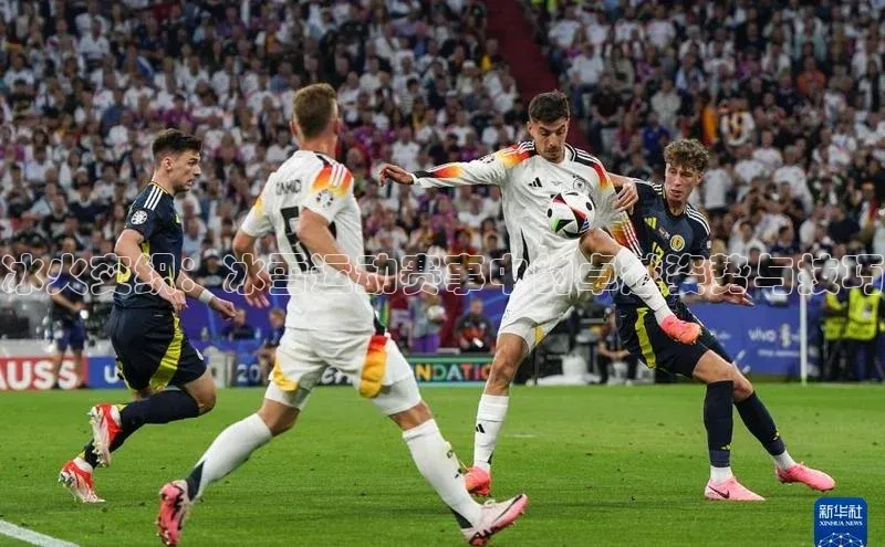 betvtor伟德国际官网登录入口