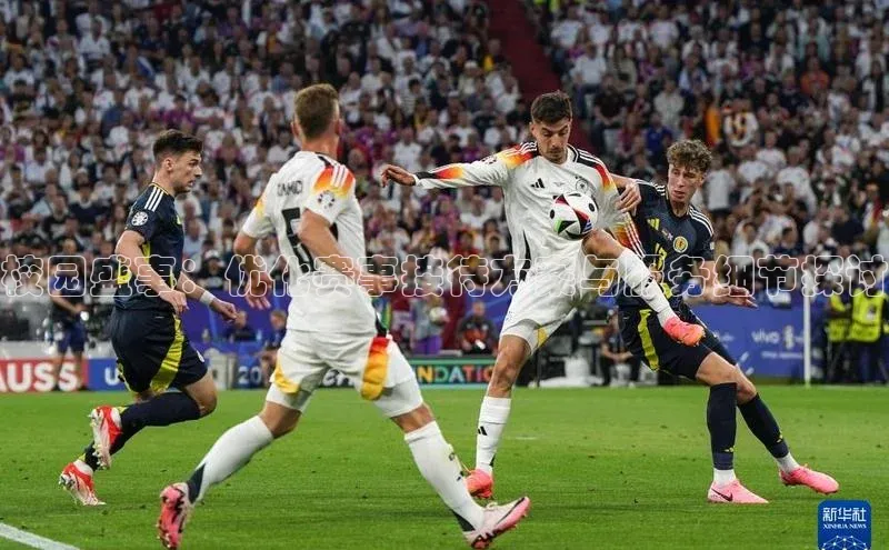 校园盛事：优化赛事接待方案与服务细节探讨