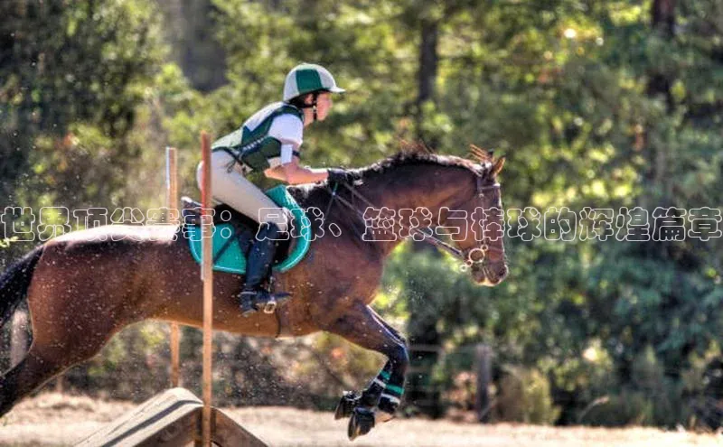 世界顶尖赛事：足球、篮球与棒球的辉煌篇章