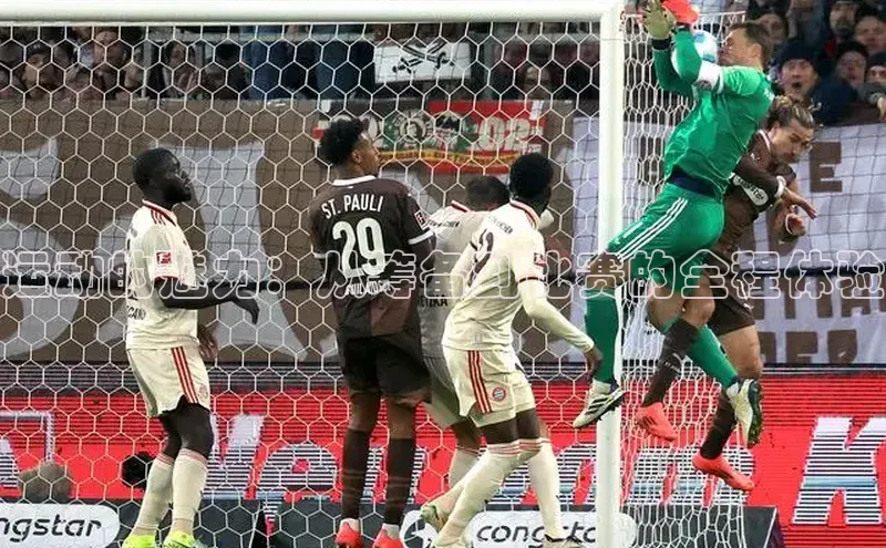 运动的魅力：从筹备到比赛的全程体验