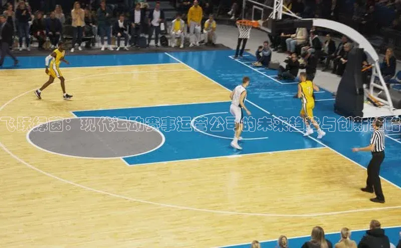 飞跃绿茵：现代运动赛事运营公司的未来趋势与创新策略