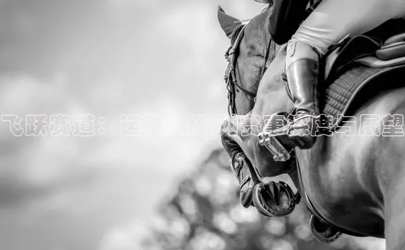 飞跃赛道：运动月系列赛事深度与展望