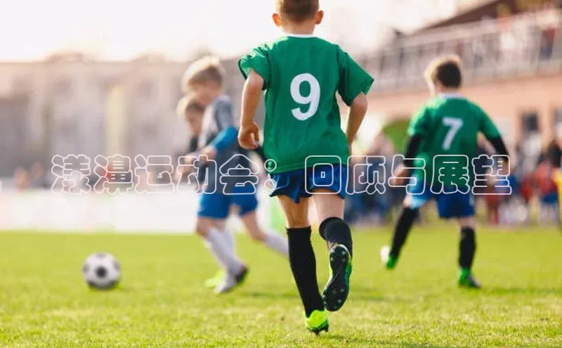 漾濞运动会：回顾与展望