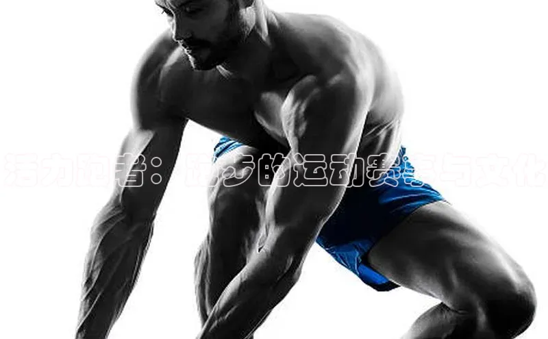 BETVLCTOR登录入口