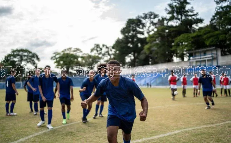 伟德bv国际体育