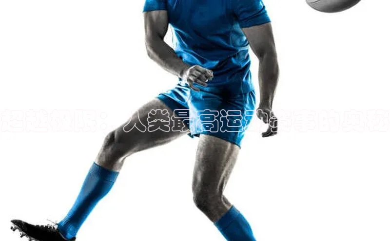 betvlctor网页版登录