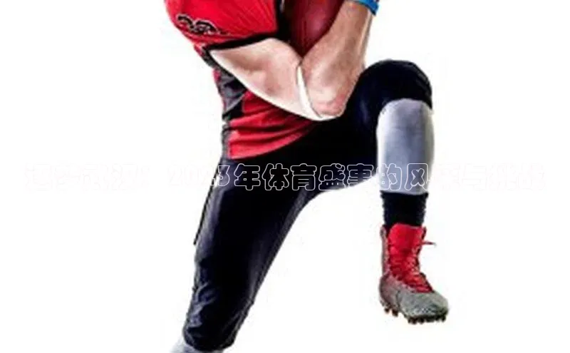 逐梦武汉：2023年体育盛事的风采与挑战