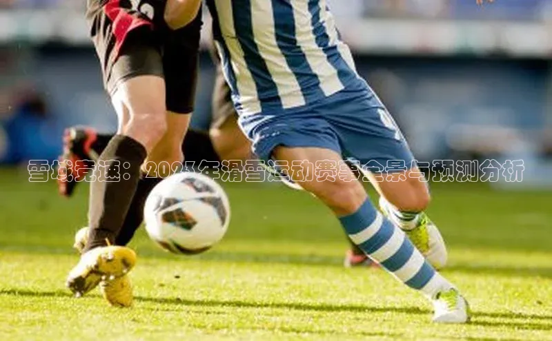 雪域竞速：2023年滑雪运动赛事全景与预测分析