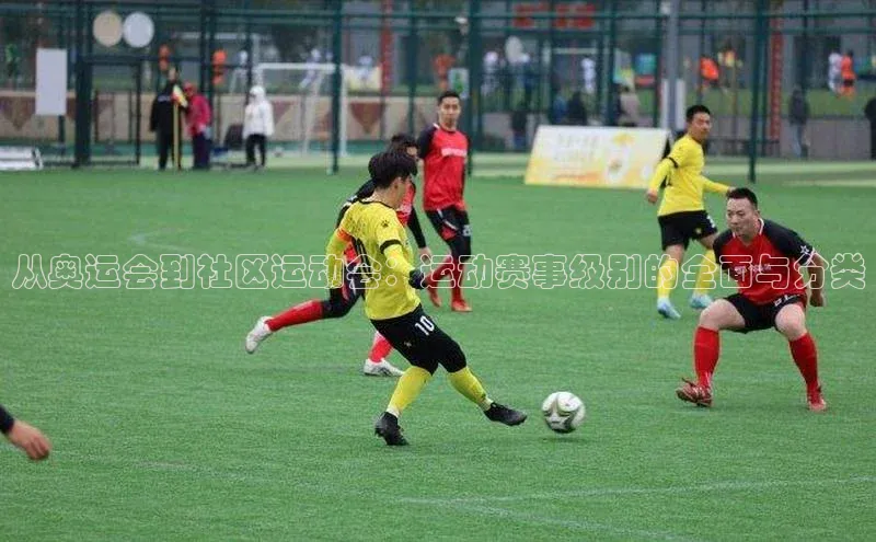 从奥运会到社区运动会：运动赛事级别的全面与分类