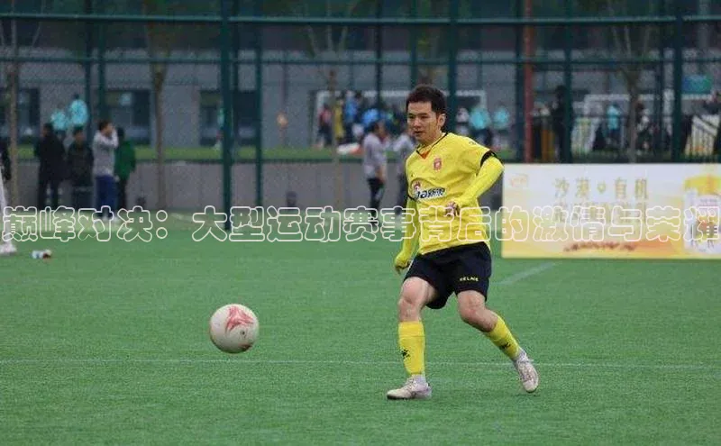 巅峰对决：大型运动赛事背后的激情与荣耀