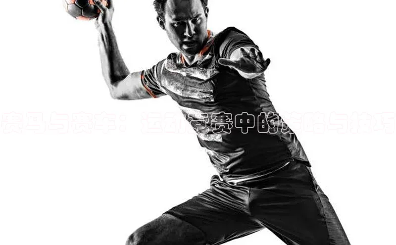 赛马与赛车：运动竞赛中的策略与技巧